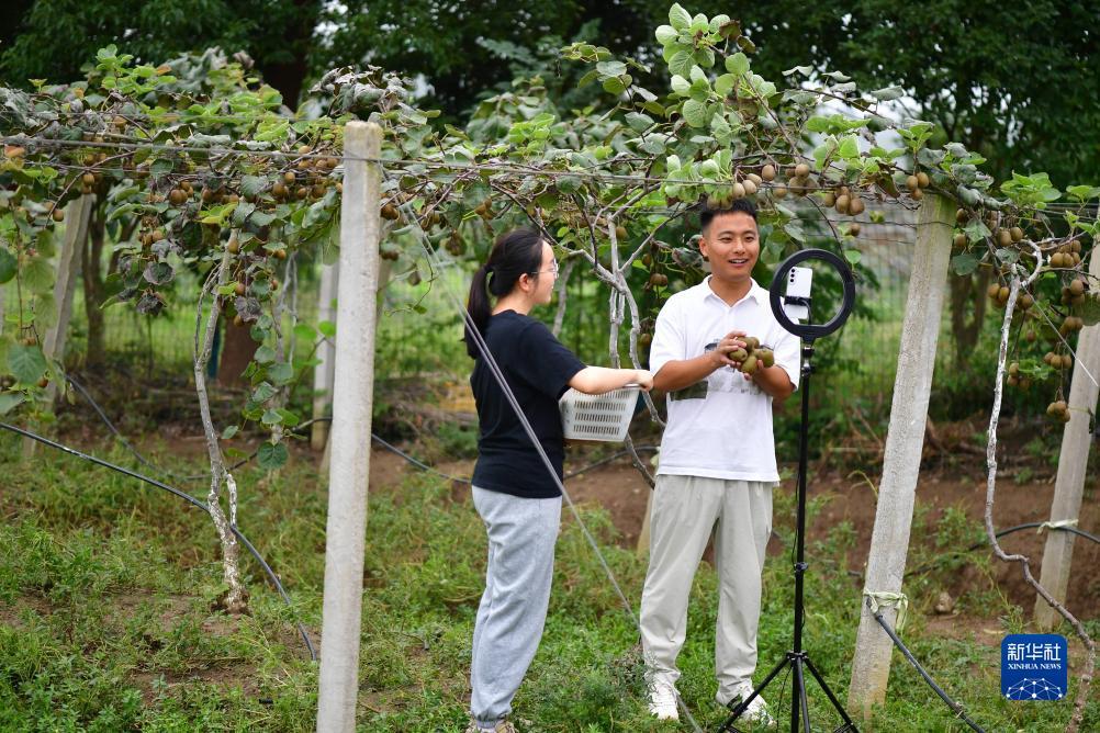 土豪炸金花游戏
